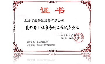上海(hai)市專利工(gong)作試(shi)點企(qi)業(ye)